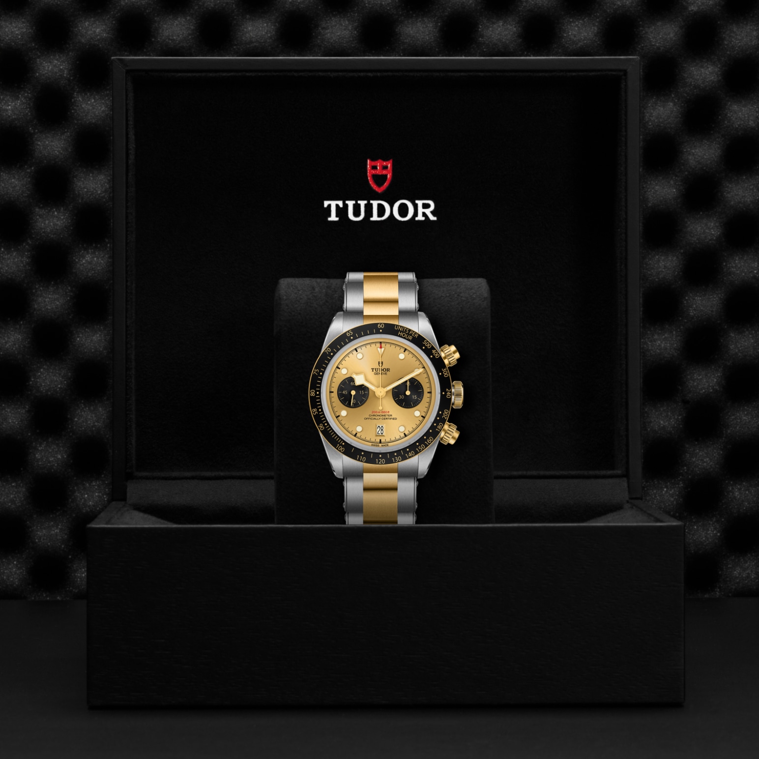 Tudor BLACK BAY CHRONO S&GM79363N-0007 - Verga 1947