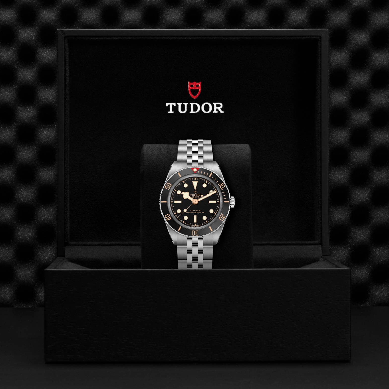 Tudor BLACK BAY 58M7939A1A0NU-0001 - Verga 1947