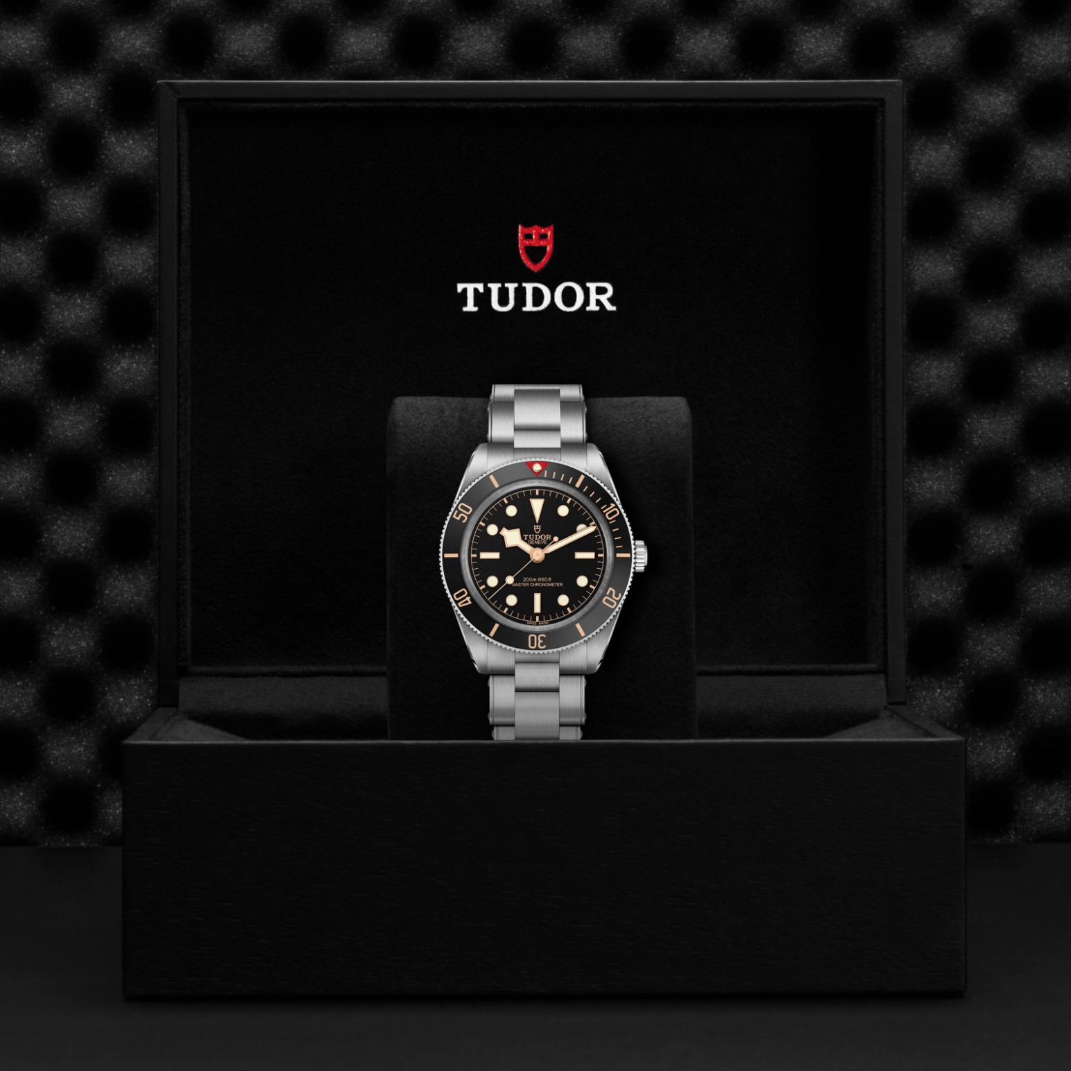 Tudor BLACK BAY 58M7939A1A0NU-0002 - Verga 1947