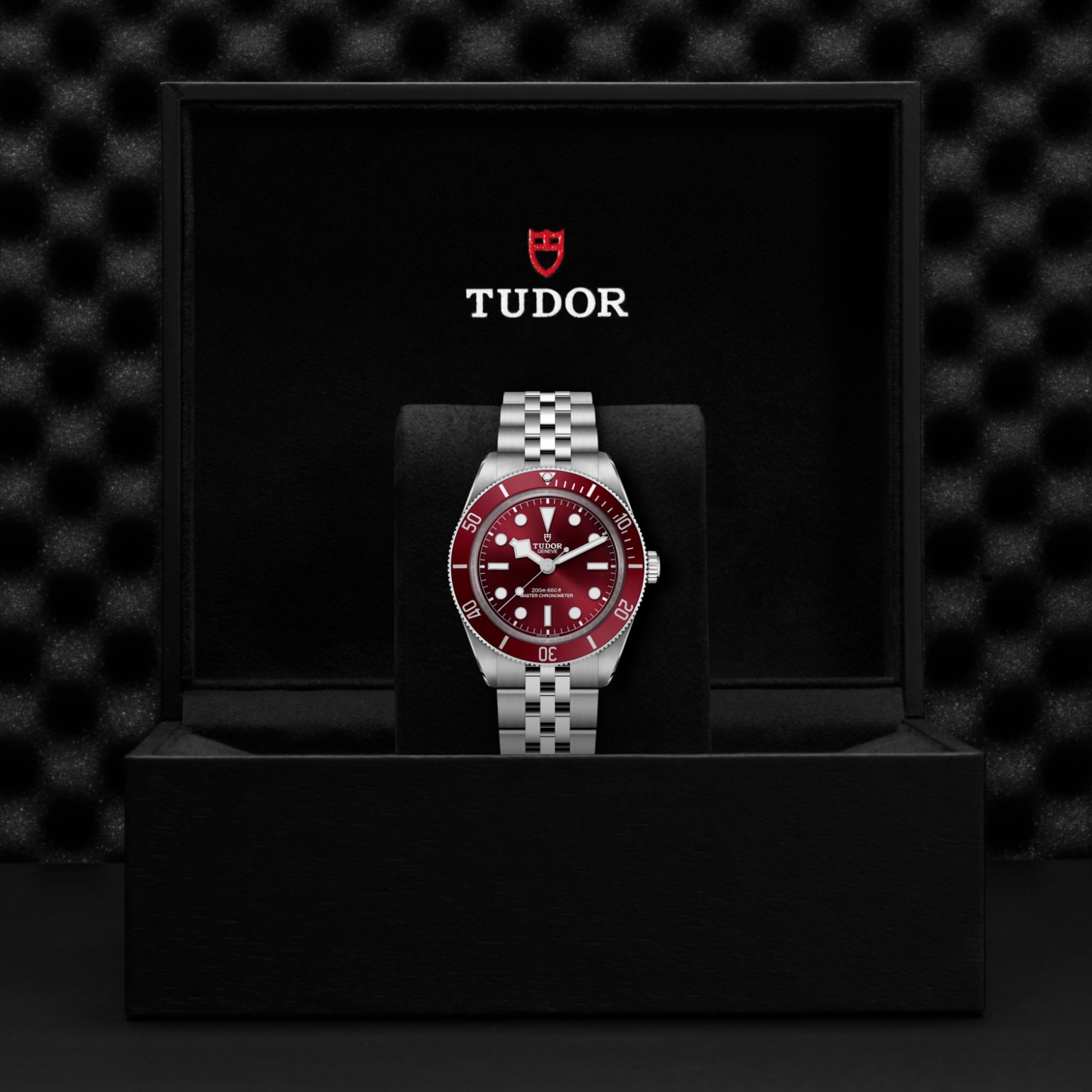 Tudor BLACK BAY 58M7939A1A0RU-0001 - Verga 1947