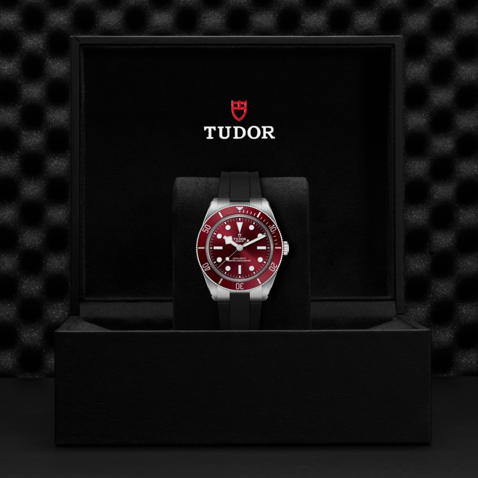 Tudor BLACK BAY 58M7939A1A0RU-0003 - Verga 1947