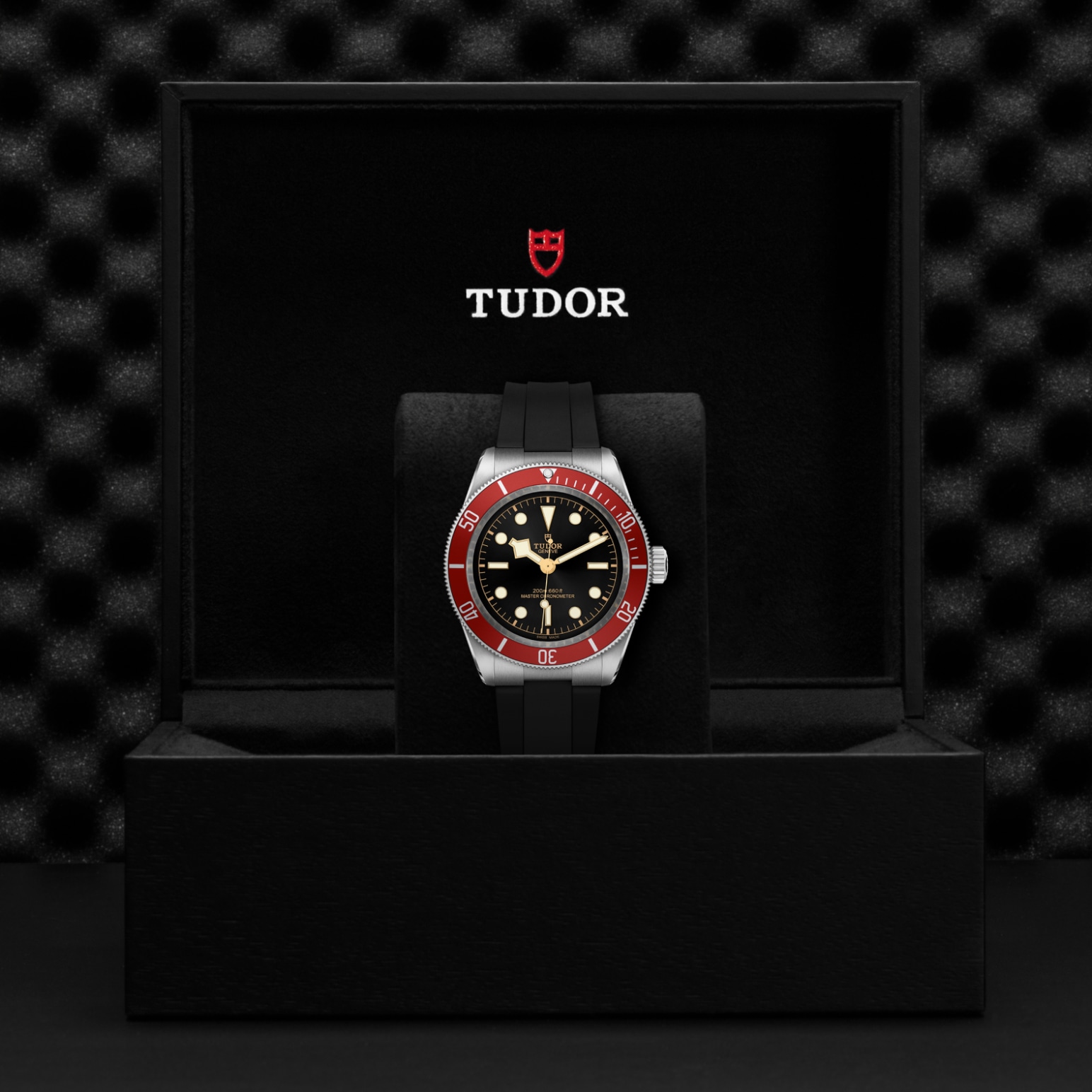 Tudor BLACK BAYM7941A1A0RU-0002 - Verga 1947