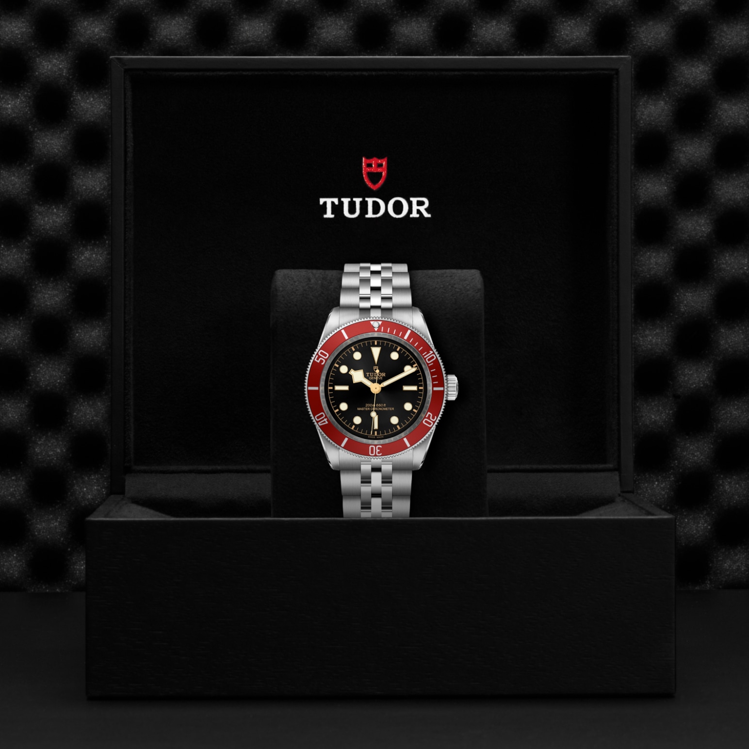 Tudor BLACK BAYM7941A1A0RU-0003 - Verga 1947