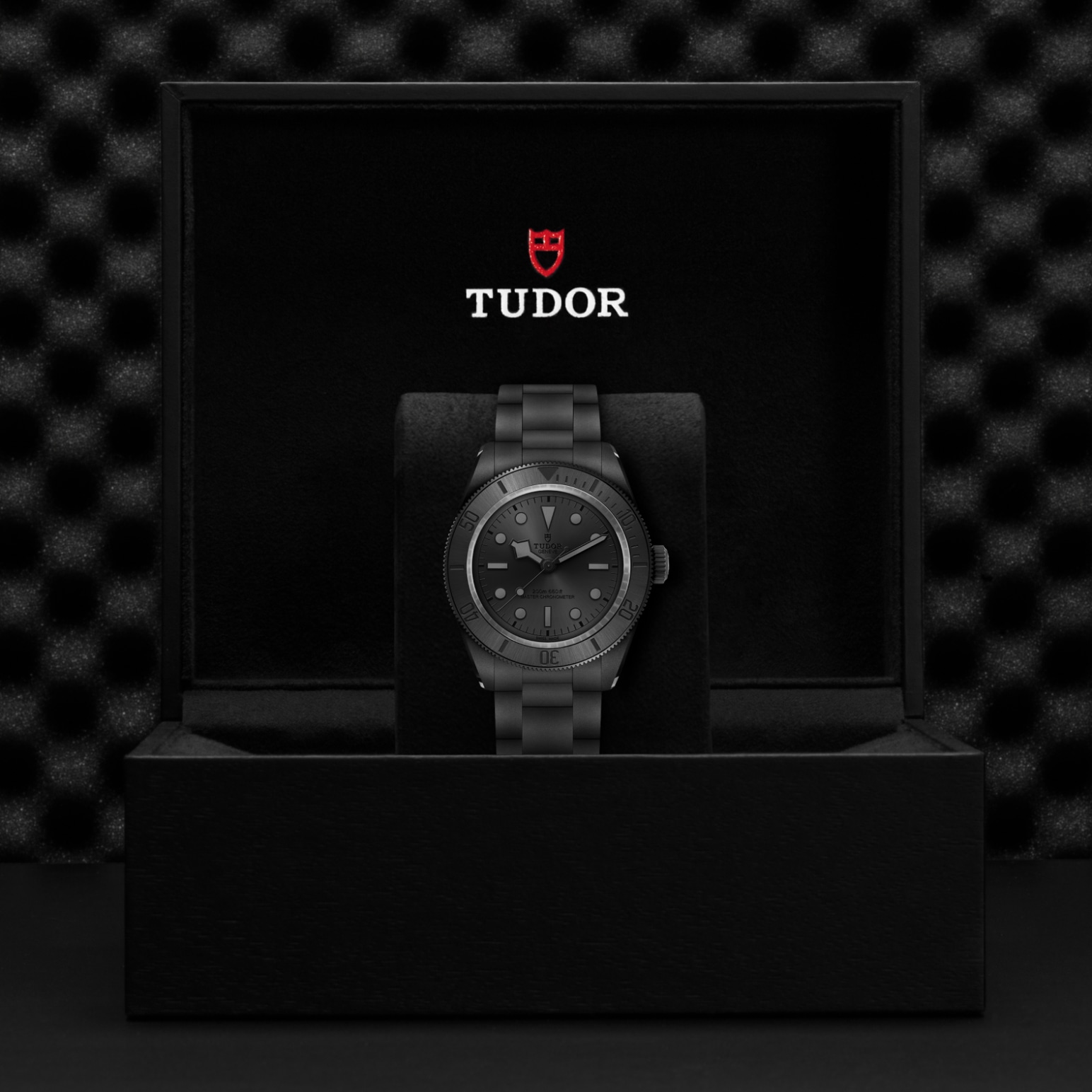 Tudor BLACK BAY CERAMICM7941A1ACNU-0001 - Verga 1947