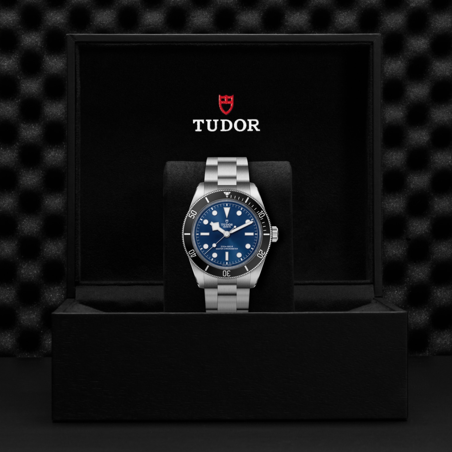Tudor BLACK BAY 68M7943A1A0NU-0001 - Verga 1947
