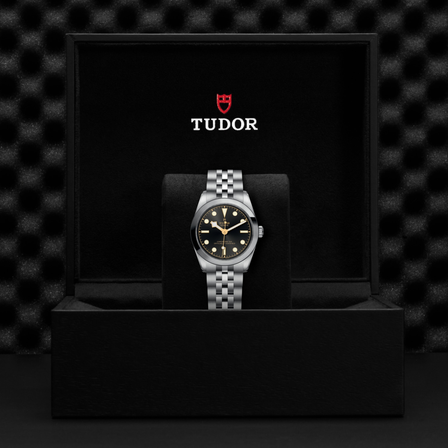 Tudor BLACK BAY ONE 31M79600-0001 - Verga 1947