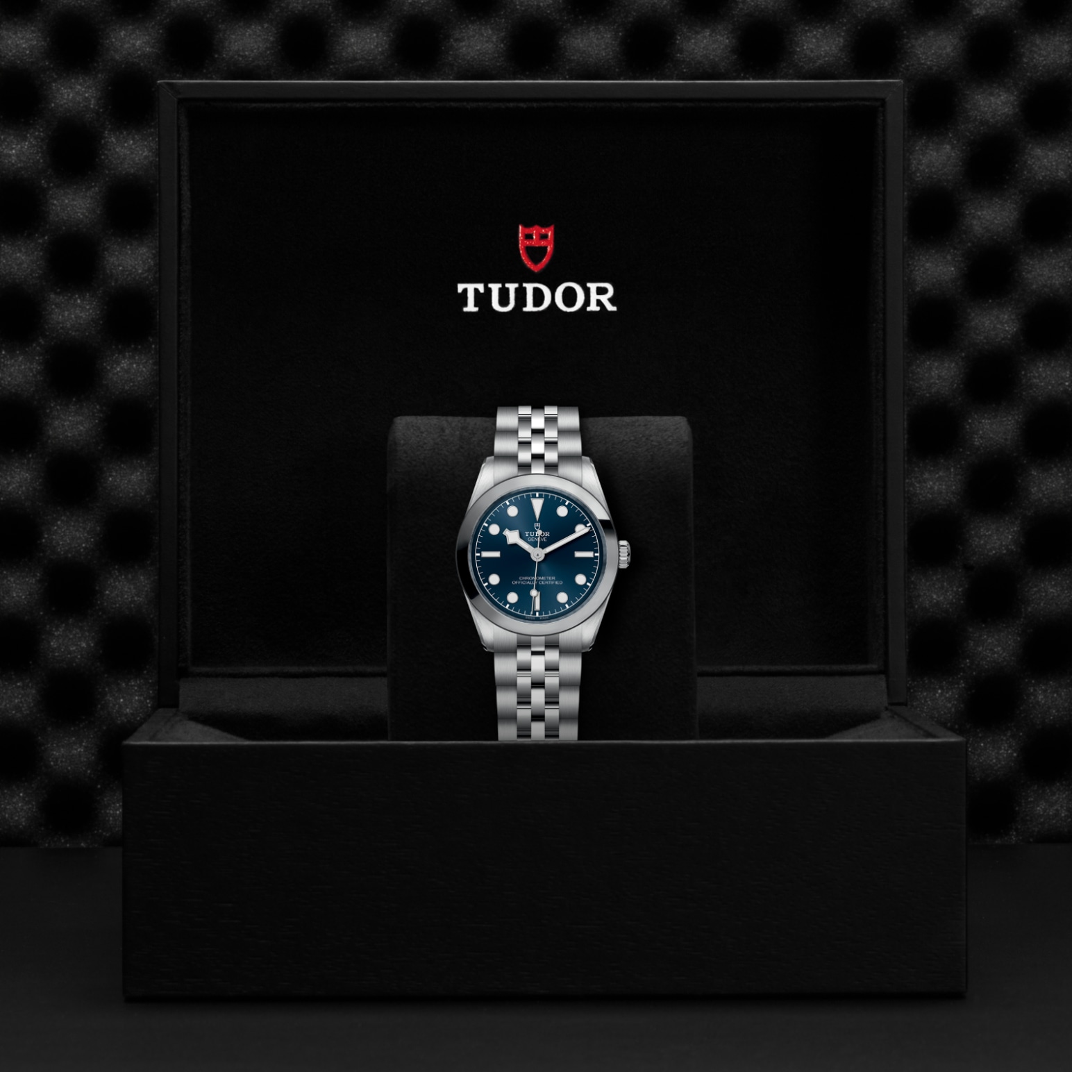 Tudor BLACK BAY ONE 31M79600-0002 - Verga 1947