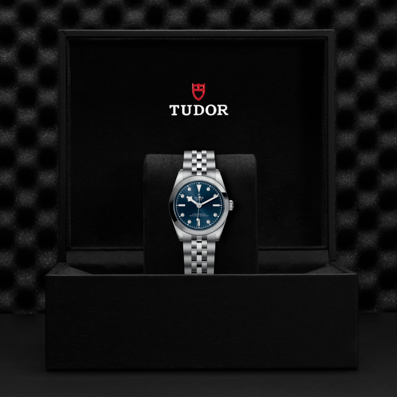 Tudor BLACK BAY ONE 31M79600-0005 - Verga 1947