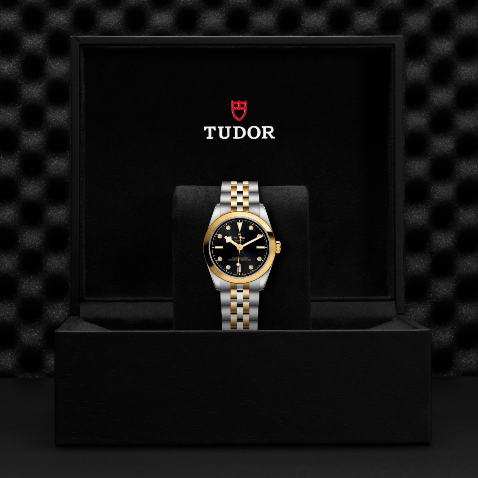 Tudor BLACK BAY ONE 31 S&GM79603-0006 - Verga 1947
