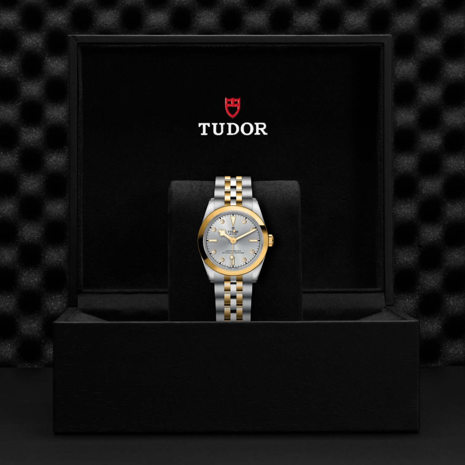 Tudor BLACK BAY ONE 31 S&GM79603-0007 - Verga 1947