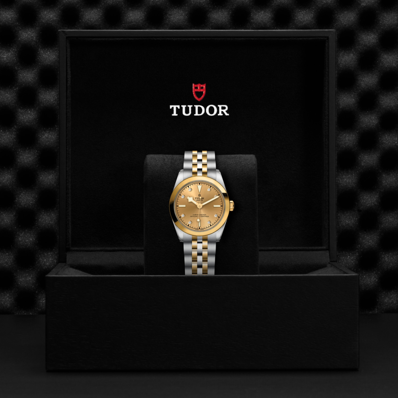 Tudor BLACK BAY ONE 31 S&GM79603-0008 - Verga 1947