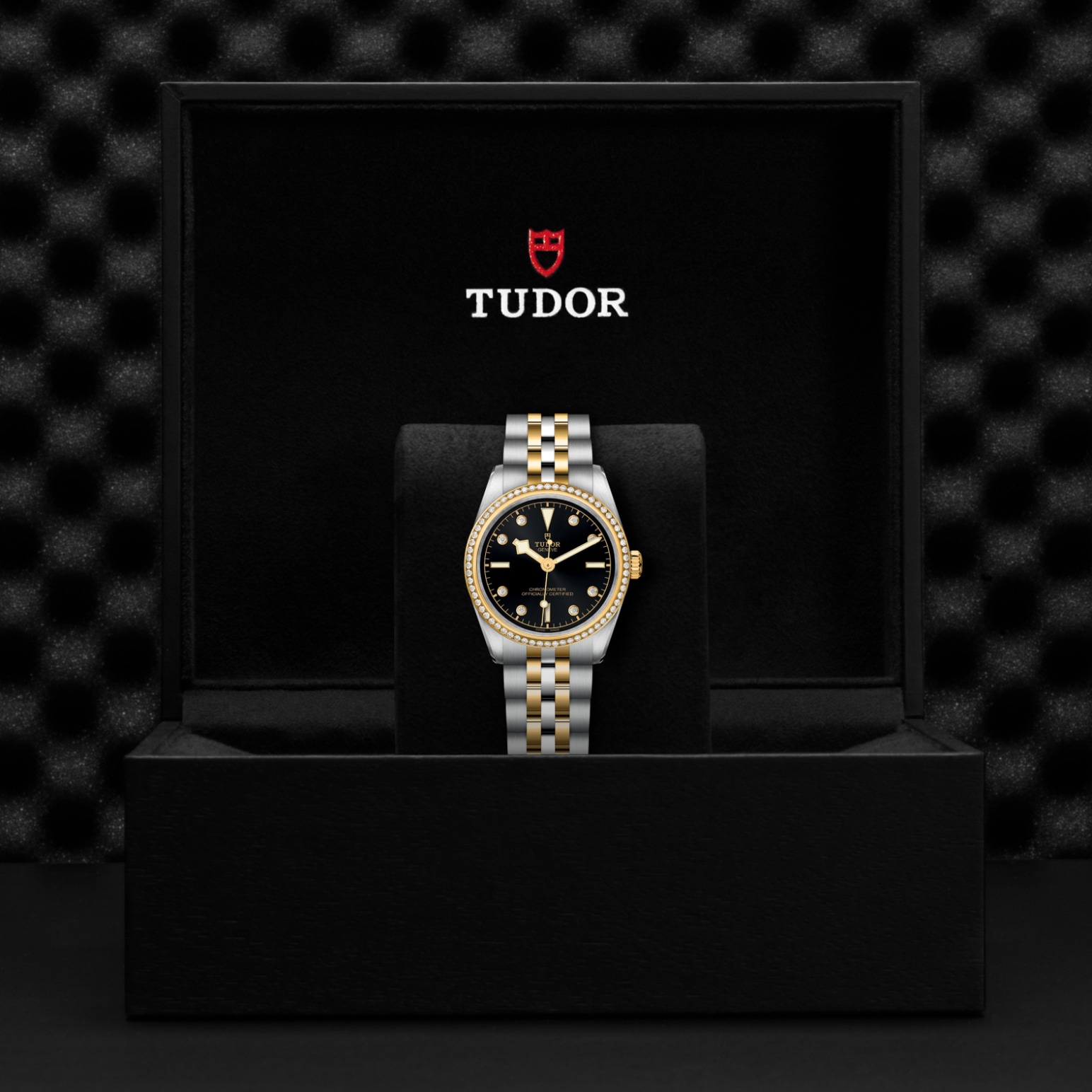 Tudor BLACK BAY ONE 31 S&GM79613-0005 - Verga 1947