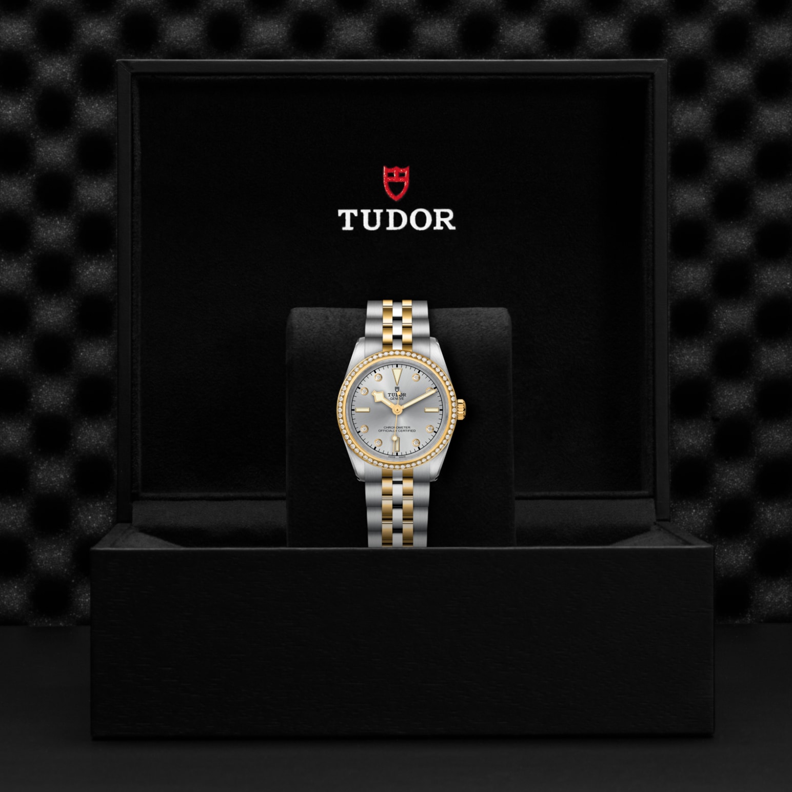 Tudor BLACK BAY ONE 31 S&GM79613-0006 - Verga 1947