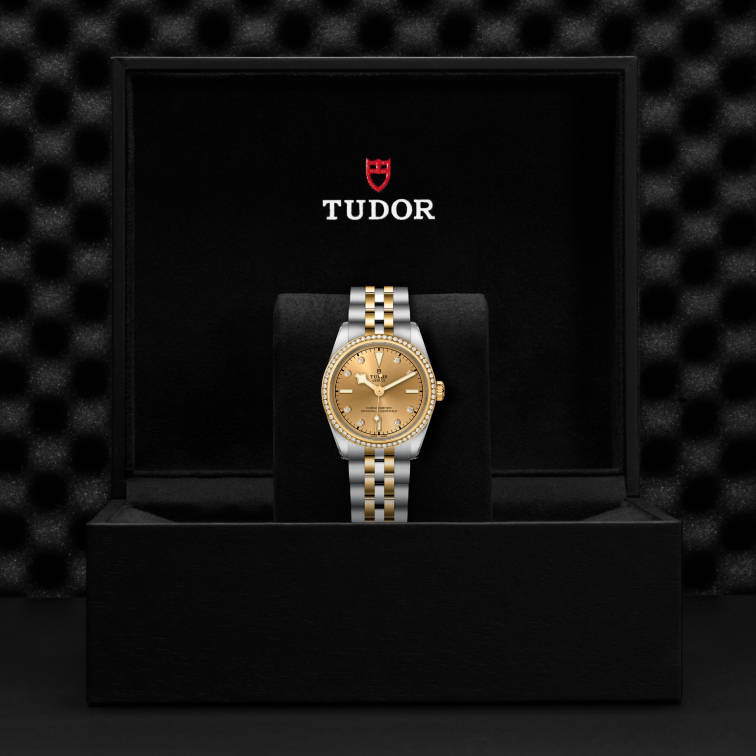 Tudor BLACK BAY ONE 31 S&GM79613-0007 - Verga 1947