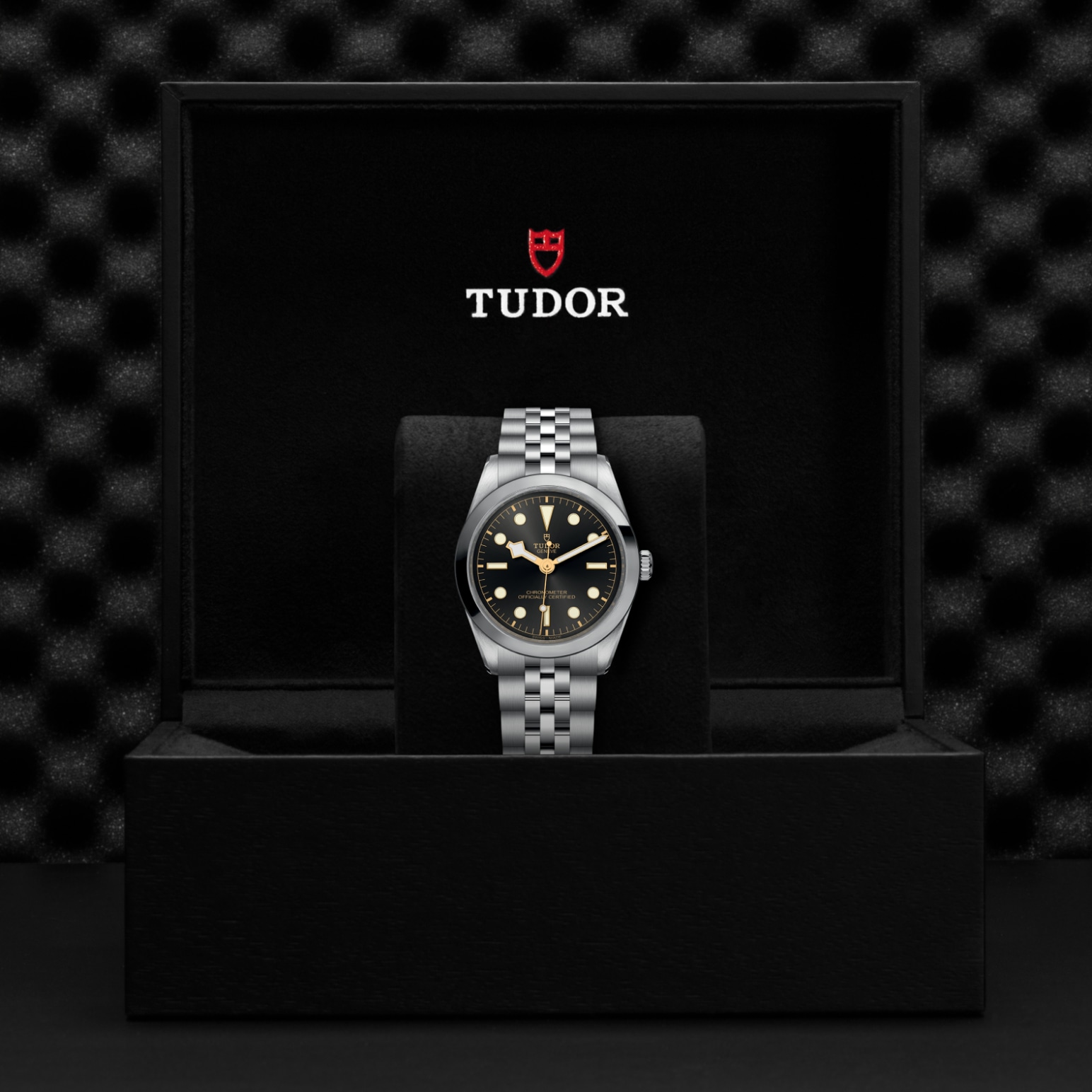 Tudor BLACK BAY ONE 36M79640-0001 - Verga 1947