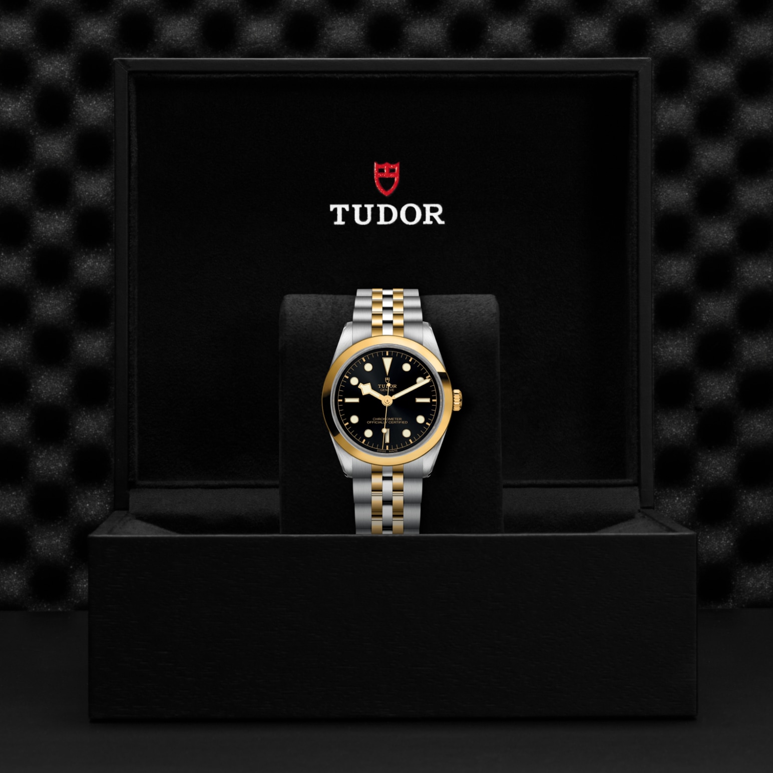 Tudor BLACK BAY ONE 36 S&GM79643-0001 - Verga 1947