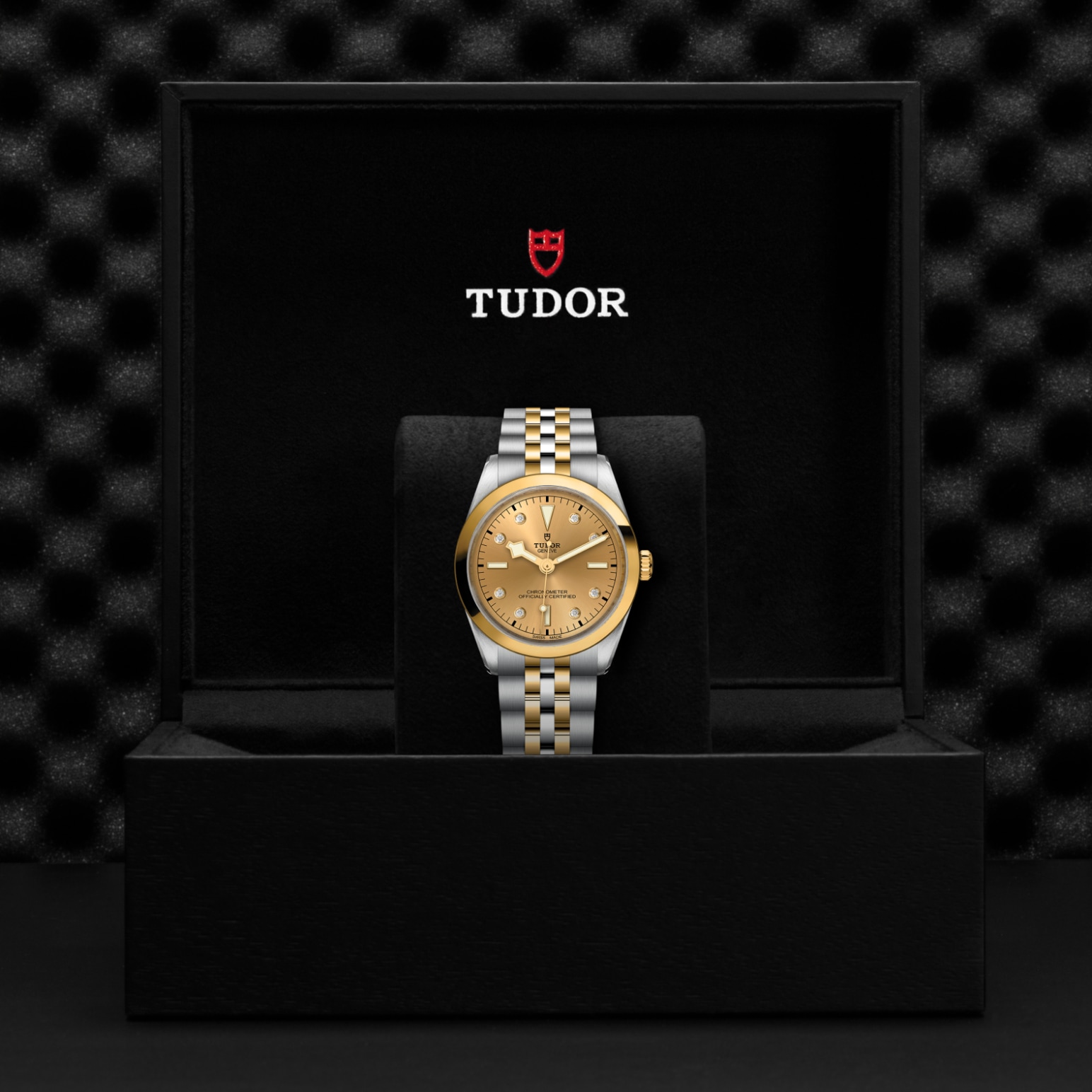 Tudor BLACK BAY ONE 36 S&GM79643-0008 - Verga 1947