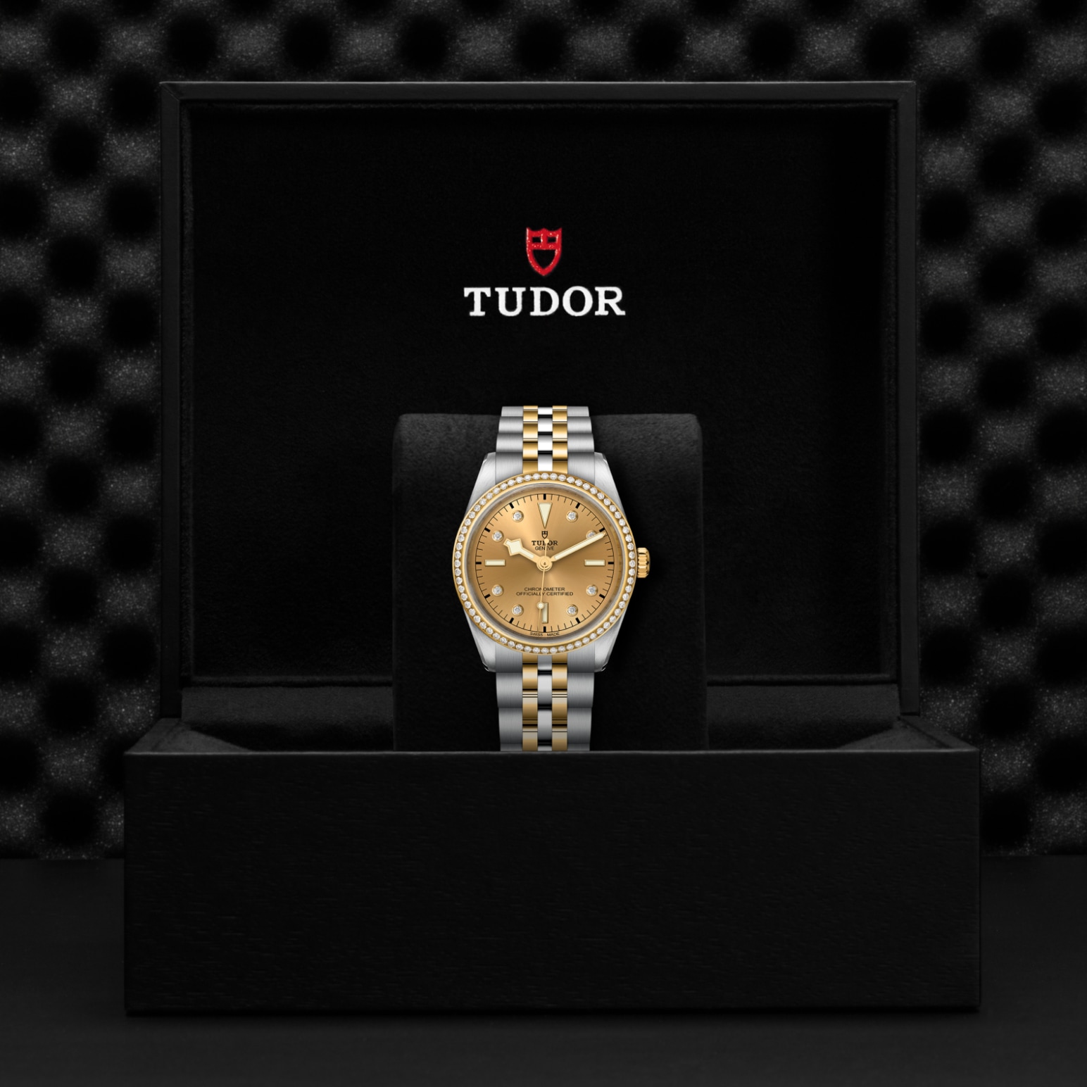 Tudor BLACK BAY ONE 36 S&GM79653-0007 - Verga 1947