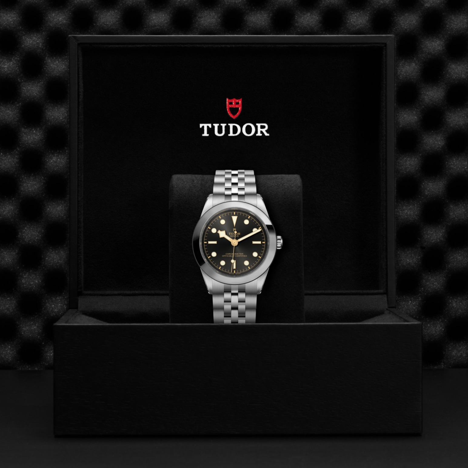Tudor BLACK BAY ONE 39M79660-0001 - Verga 1947