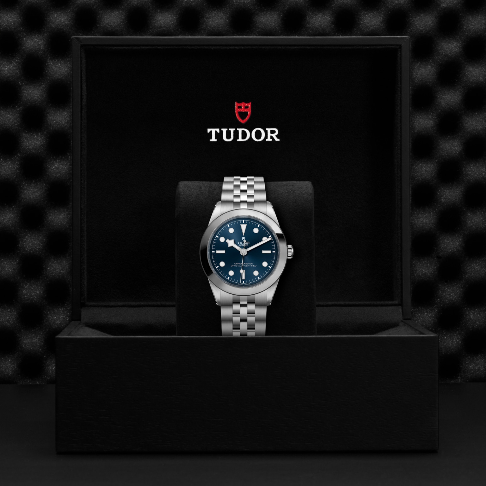 Tudor BLACK BAY ONE 39M79660-0002 - Verga 1947