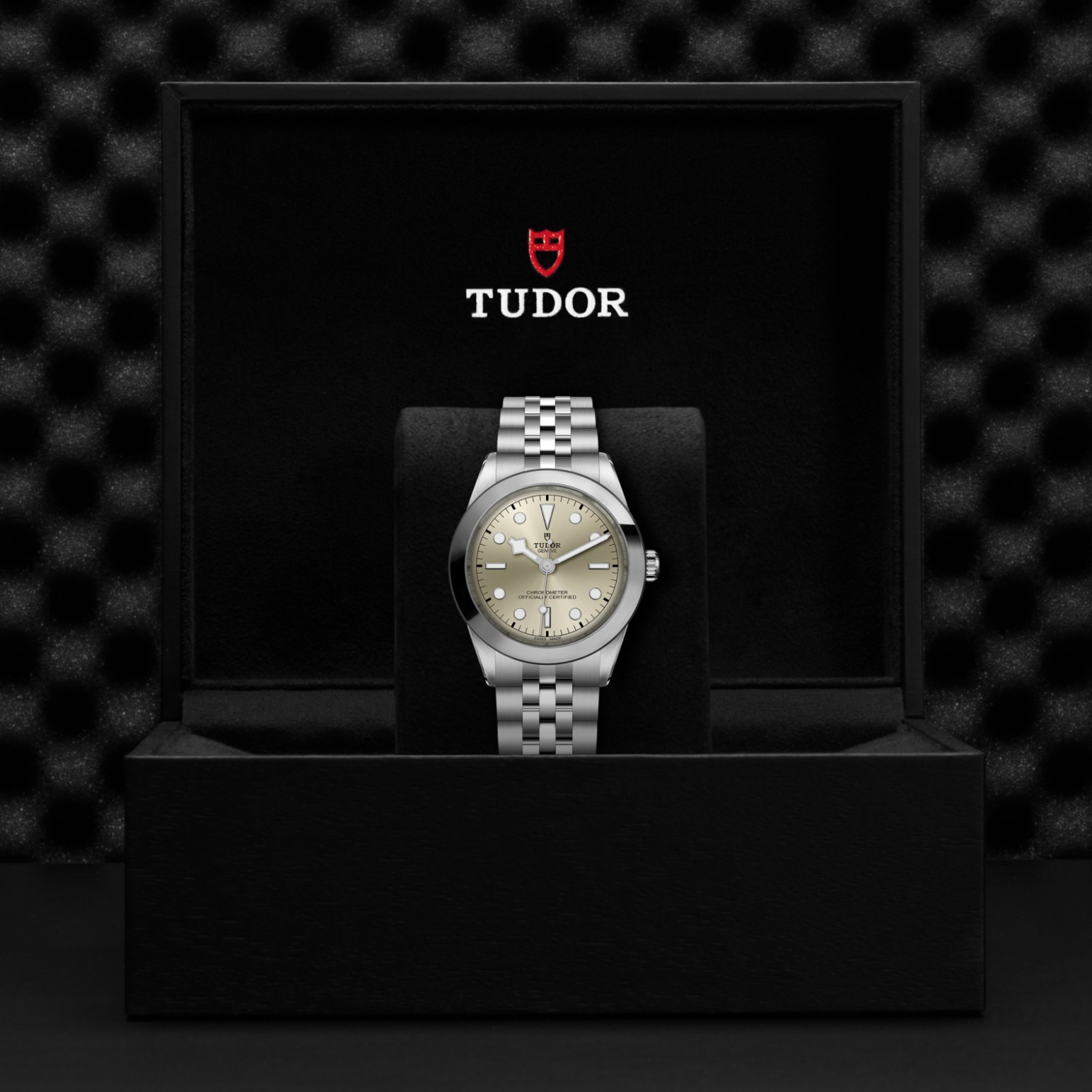 Tudor BLACK BAY ONE 39M79660-0003 - Verga 1947