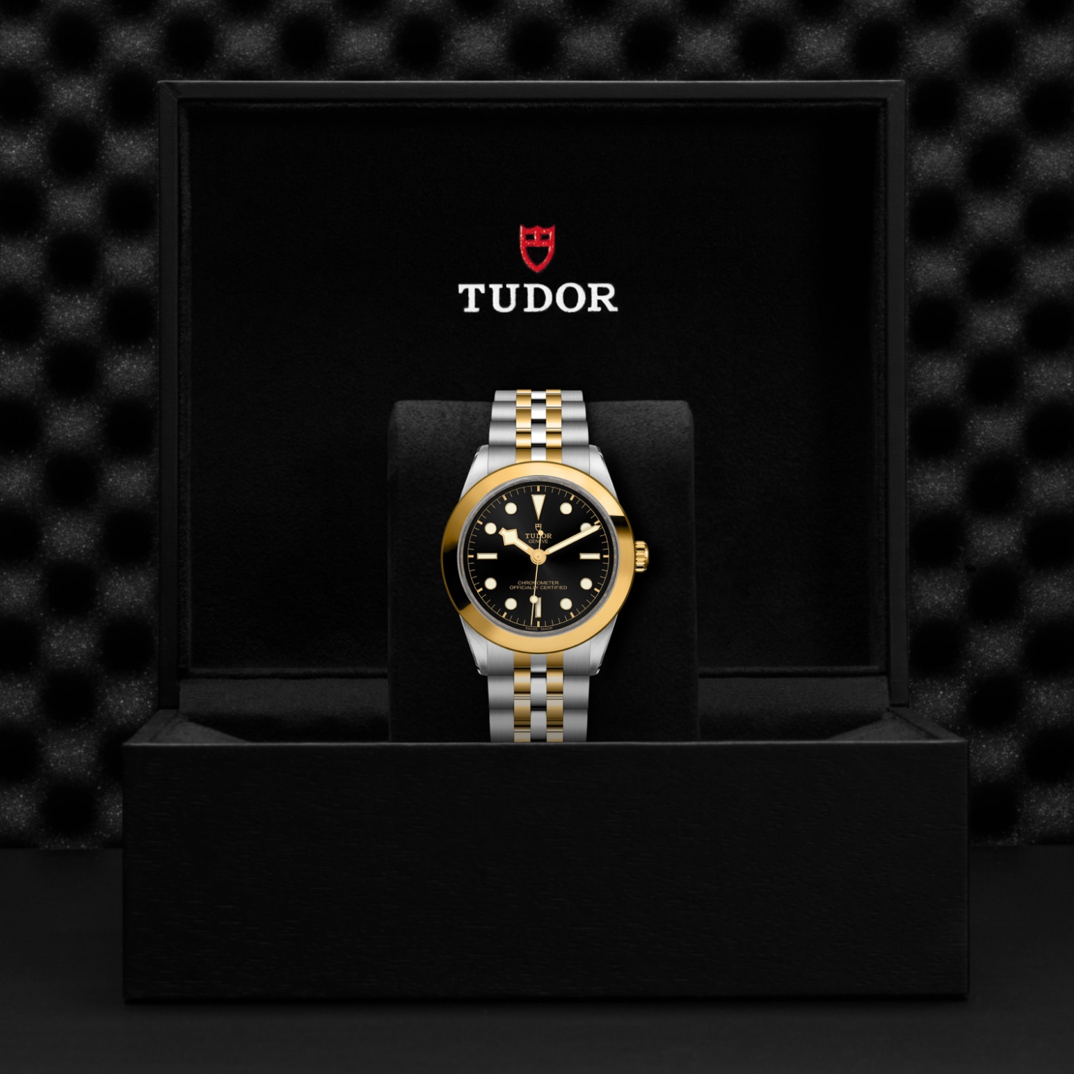 Tudor BLACK BAY ONE 39 S&GM79663-0001 - Verga 1947