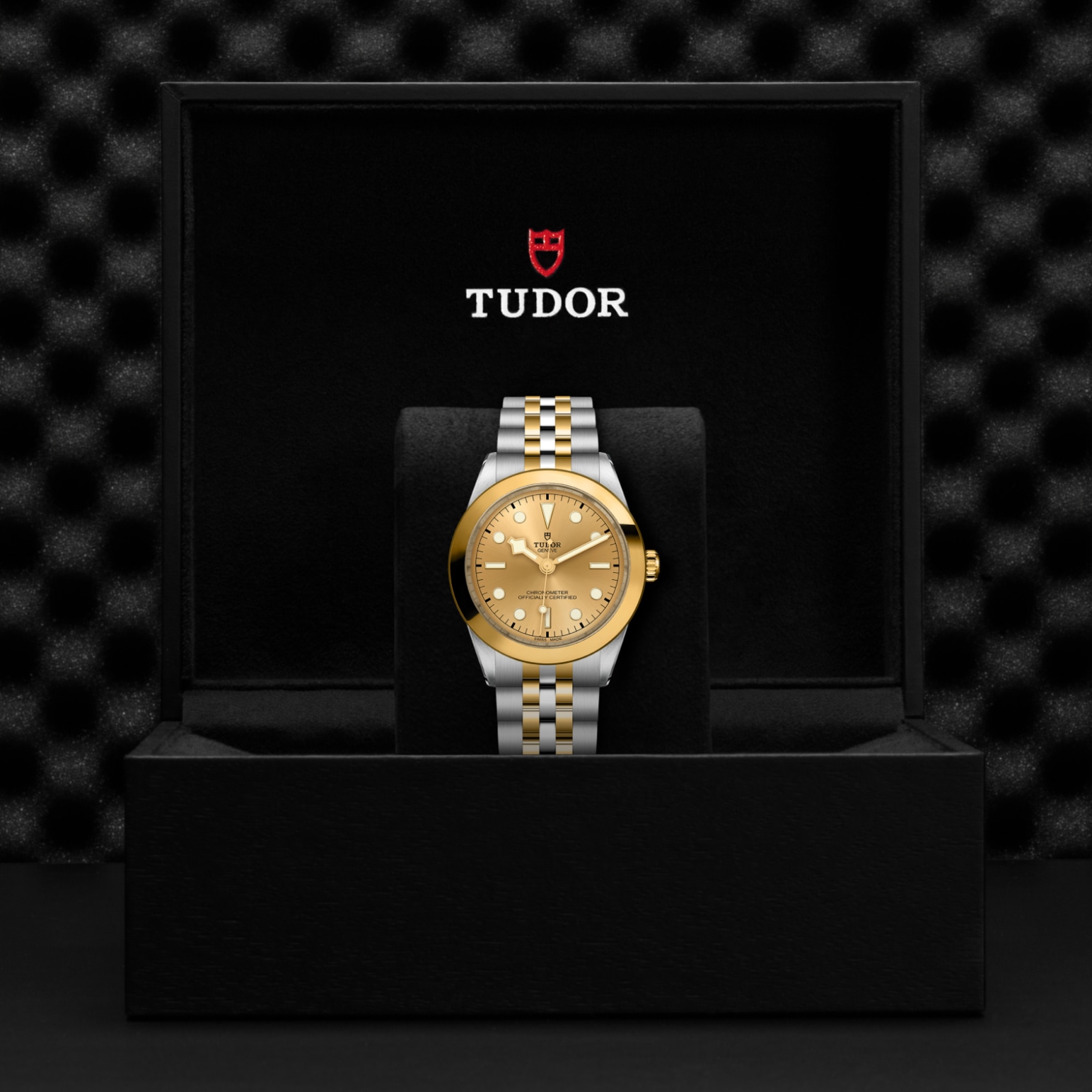 Tudor BLACK BAY ONE 39 S&GM79663-0005 - Verga 1947
