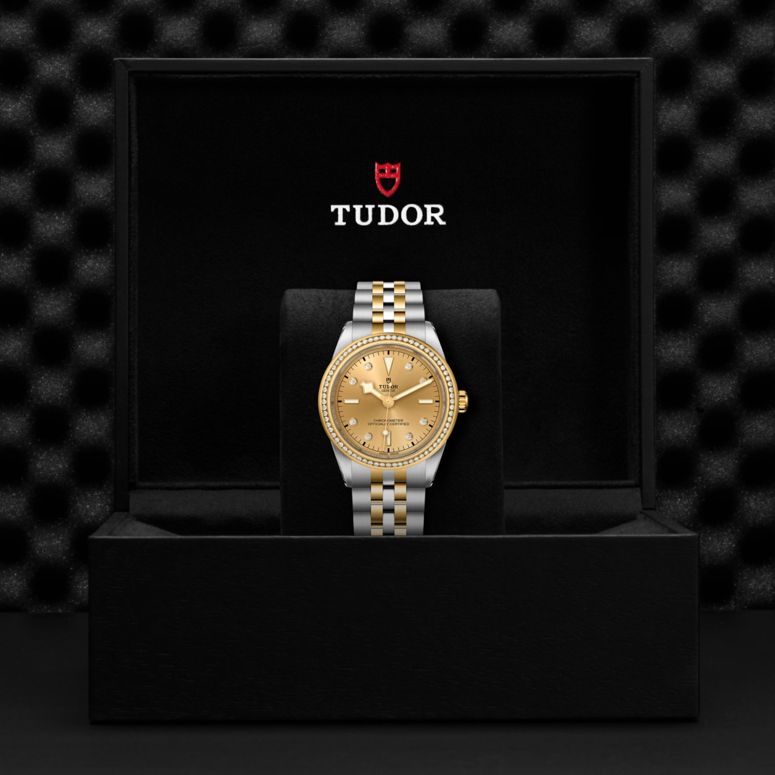 Tudor BLACK BAY ONE 39 S&GM79673-0007 - Verga 1947