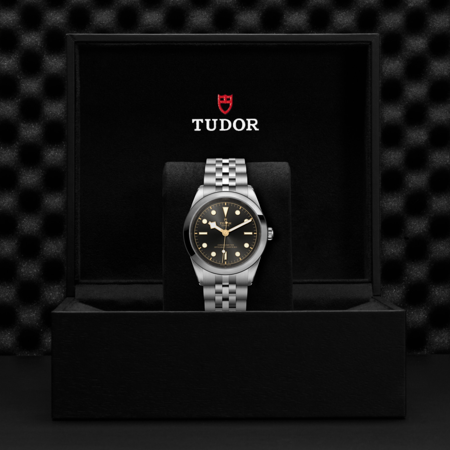 Tudor BLACK BAY ONE 41M79680-0001 - Verga 1947