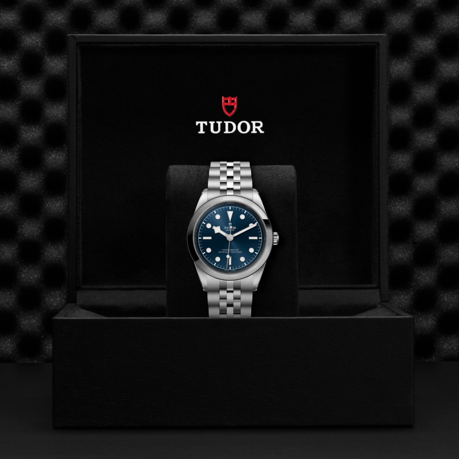 Tudor BLACK BAY ONE 41M79680-0002 - Verga 1947