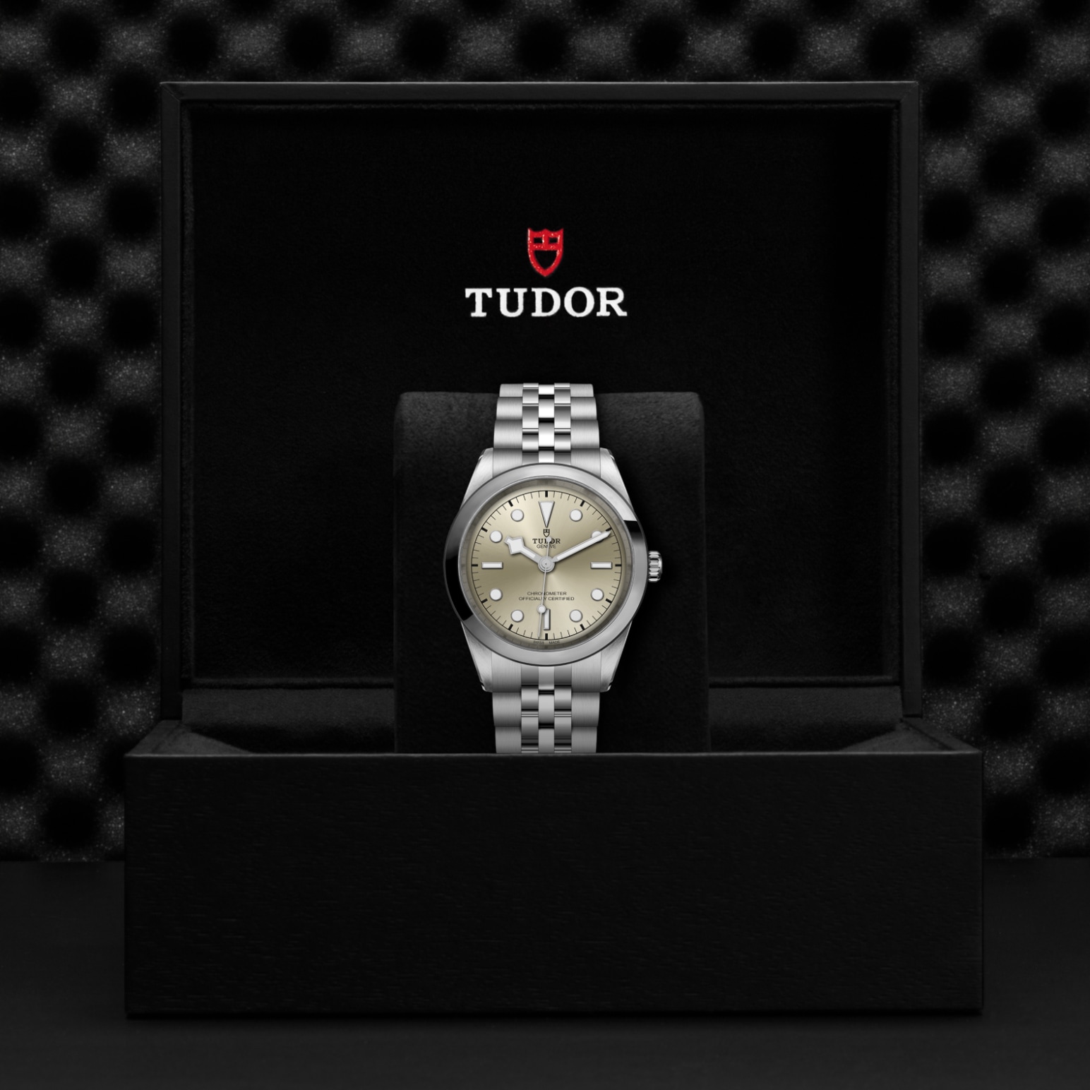 Tudor BLACK BAY ONE 41M79680-0003 - Verga 1947