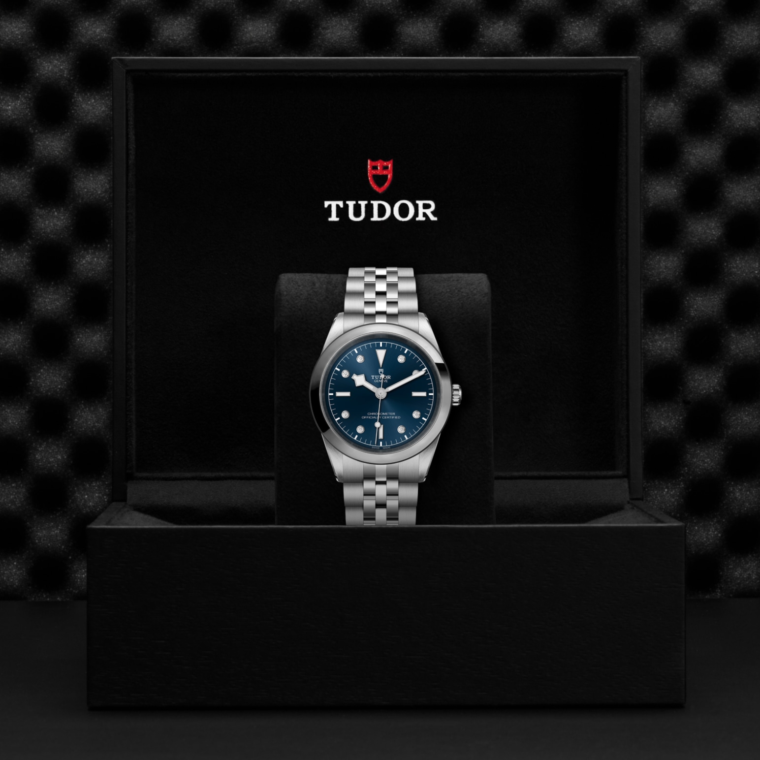 Tudor BLACK BAY ONE 41M79680-0005 - Verga 1947