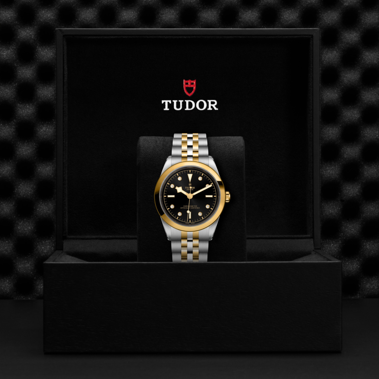 Tudor BLACK BAY ONE 41 S&GM79683-0006 - Verga 1947