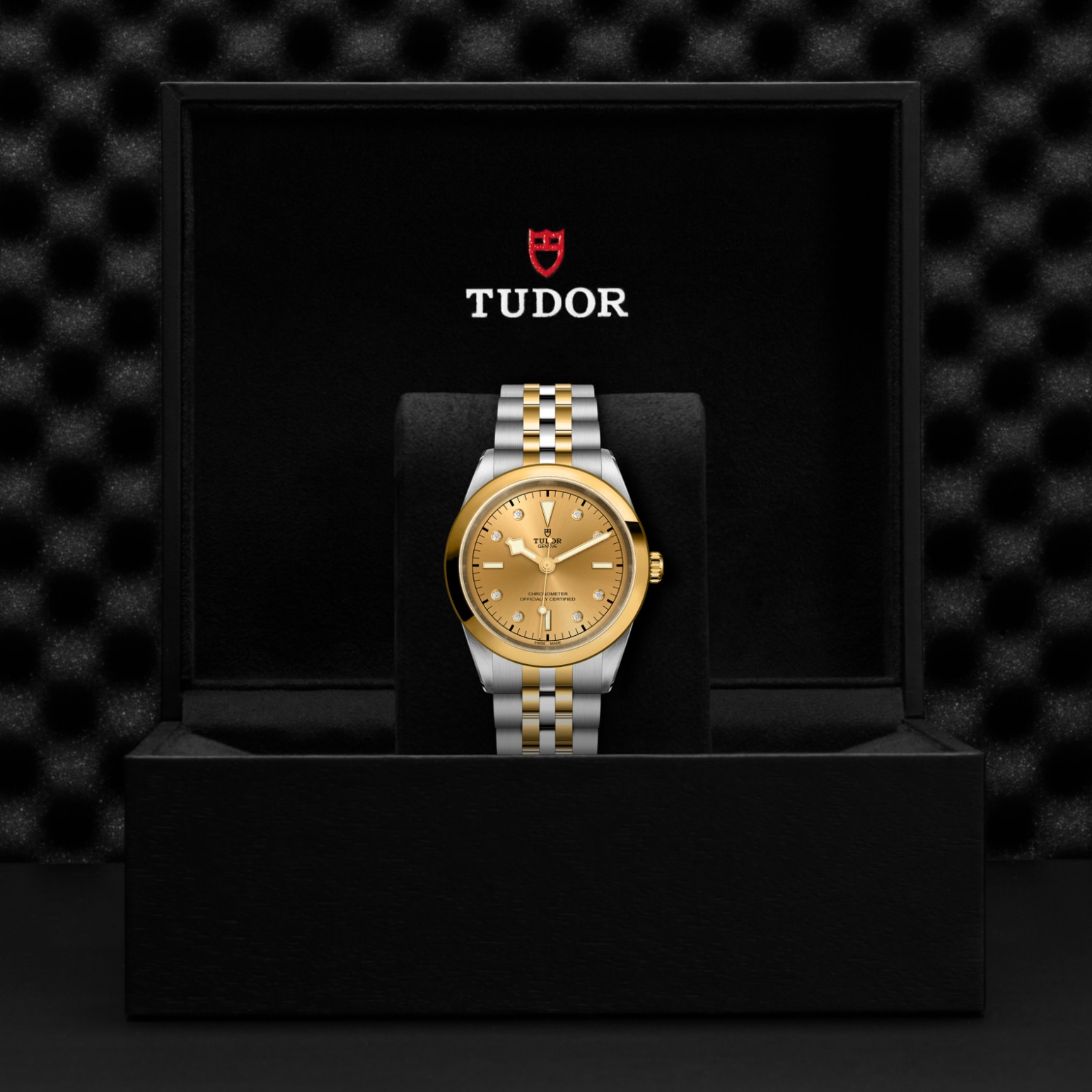 Tudor BLACK BAY ONE 41 S&GM79683-0008 - Verga 1947