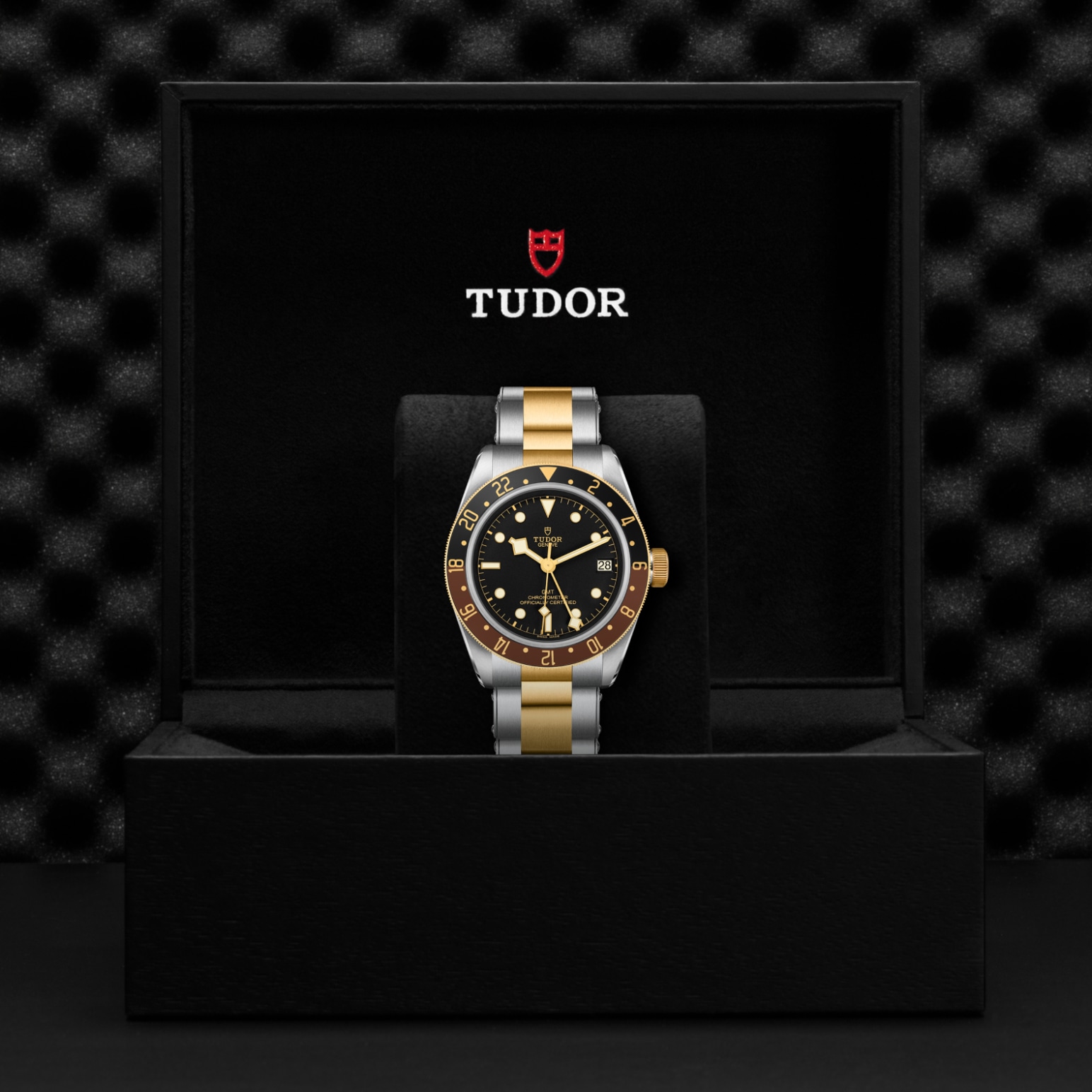 Tudor BLACK BAY GMT S&GM79833MN-0001 - Verga 1947