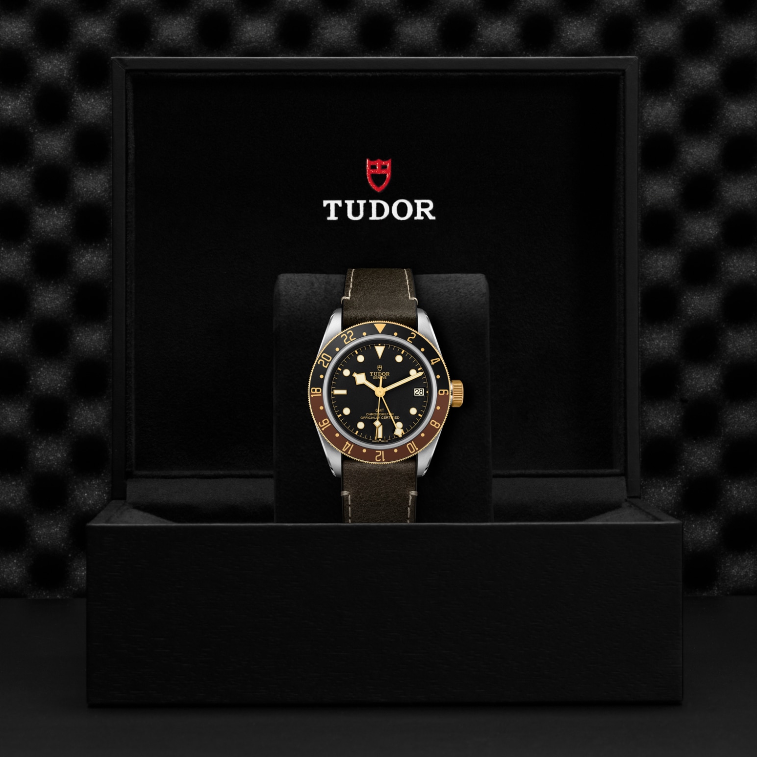 Tudor BLACK BAY GMT S&GM79833MN-0003 - Verga 1947