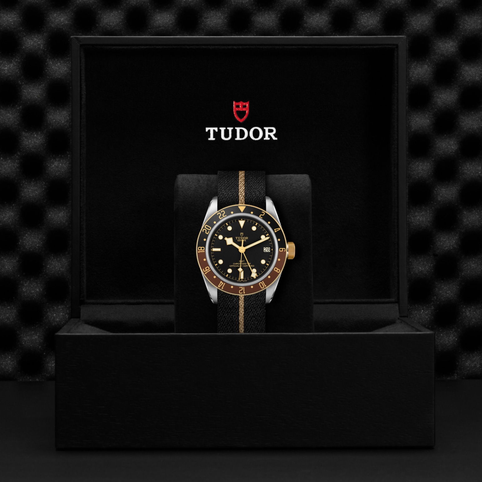 Tudor BLACK BAY GMT S&GM79833MN-0004 - Verga 1947