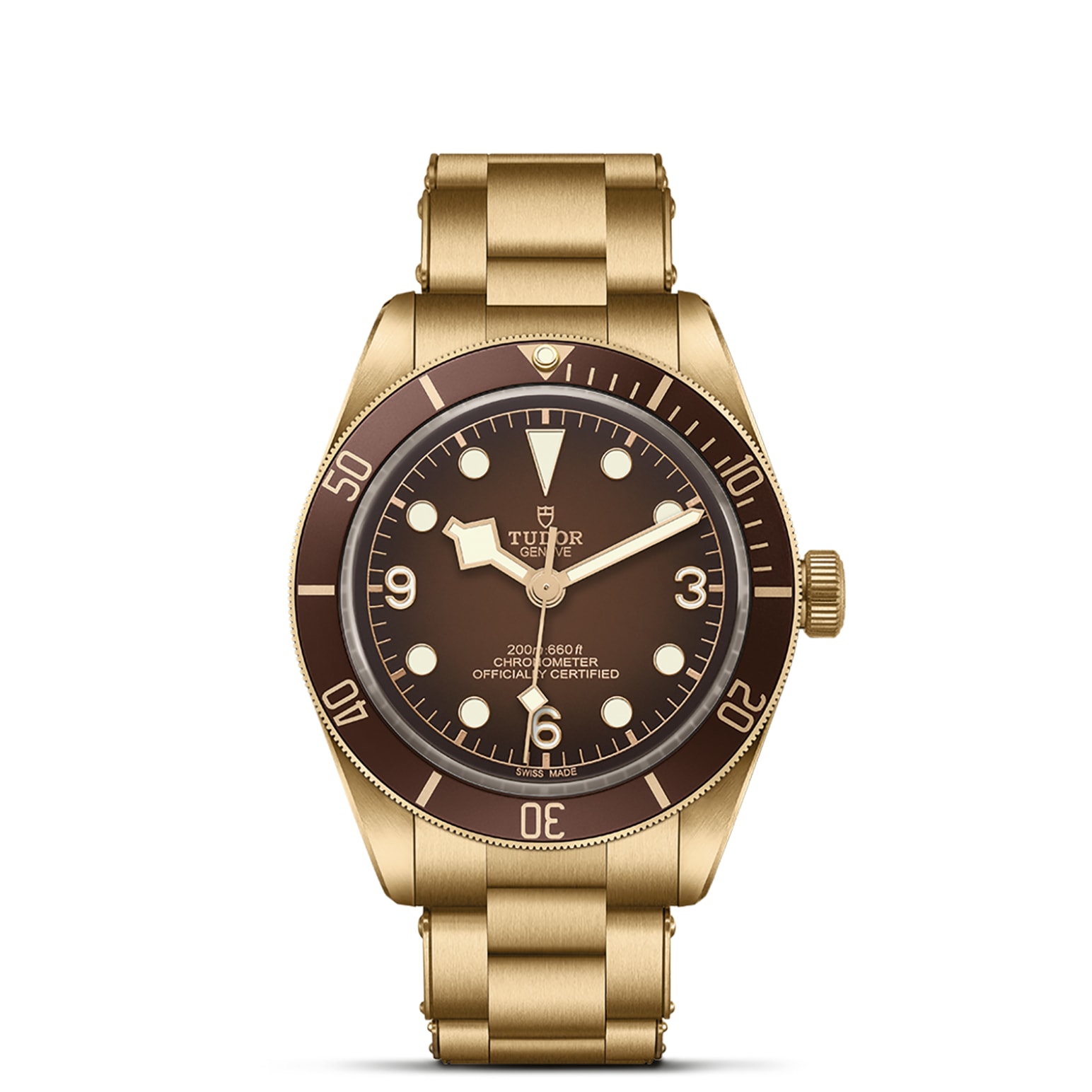 Tudor BLACK BAY 58 BRONZEM79012M-0001 - Verga 1947